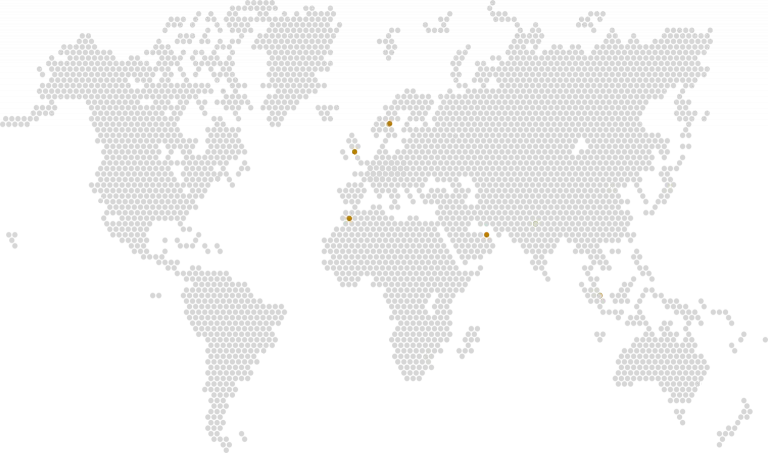 Anzar Consulting Focus